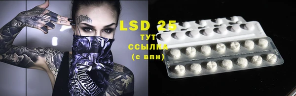 индика Бронницы