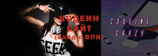 индика Бронницы