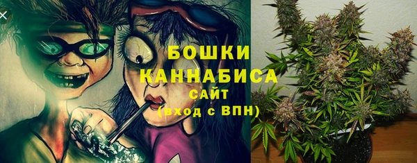 индика Бронницы
