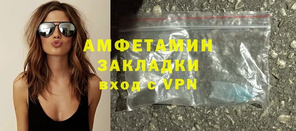 индика Бронницы
