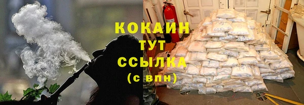 индика Бронницы